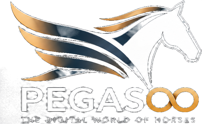 PEGASOO – The Digital World of Horses