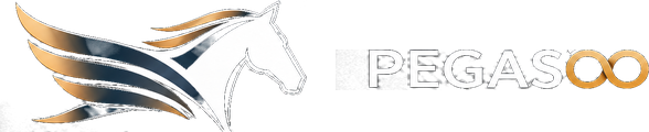 PEGASOO